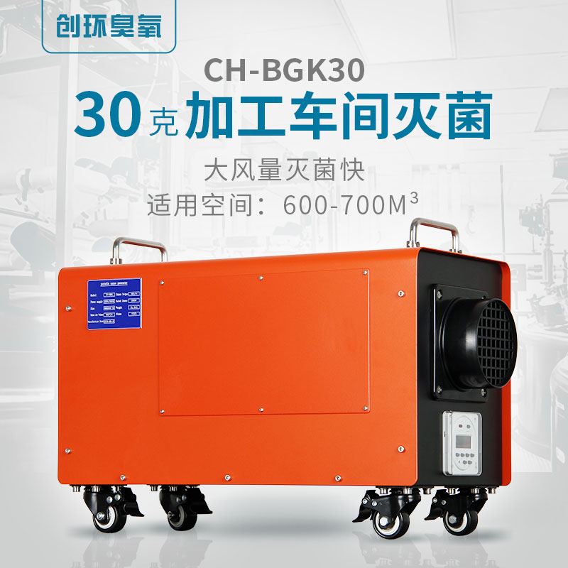 CH-BGK便携空间消毒臭氧机30g/h